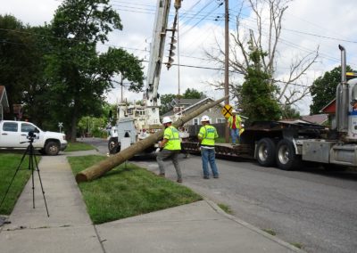 telephone Pole being lifted